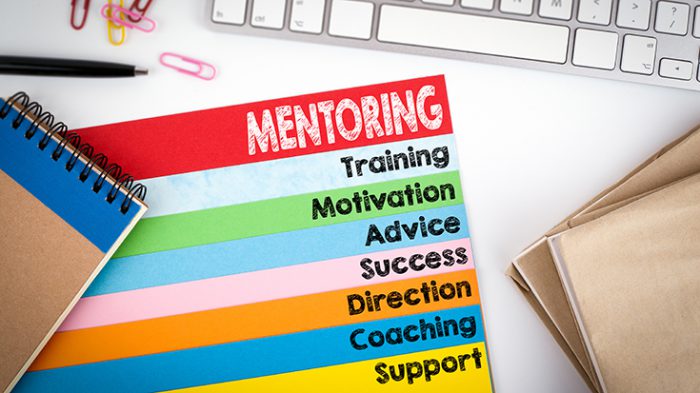 Mentorship Sets Career Foundation - Mentorship Sets Career Foundation